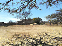 IMG_20210304_132344