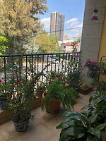 Het balkon van de familie Moreno