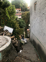 IMG_4275