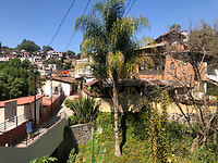 IMG_4282