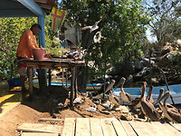 IMG_3057