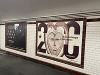 IMG_8798