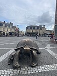 IMG_8804
