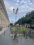 IMG_8807