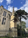 IMG_8843