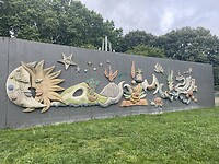 IMG_8850