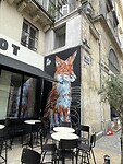 IMG_8855