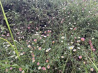 IMG_8881
