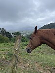 IMG_8884