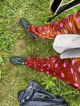 IMG_8886