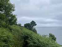 IMG_8887