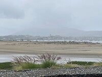IMG_8936