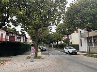 IMG_8937