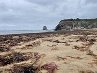 IMG_8942