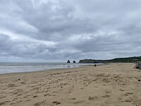 IMG_8941