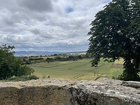 IMG_8949