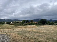 IMG_8954