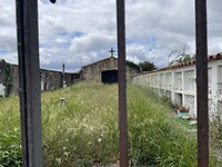 IMG_8958