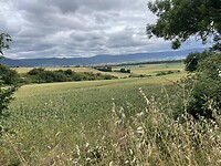 IMG_8960