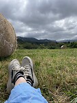 IMG_8965