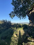 IMG_8971