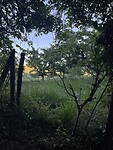 IMG_8972