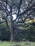 IMG_8976