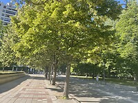 IMG_9020