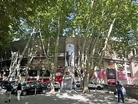 IMG_9031