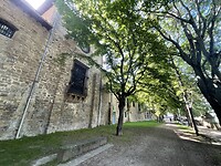 IMG_9036