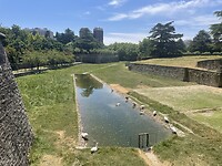 IMG_9053