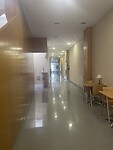 IMG_9110