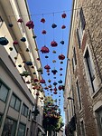 IMG_9257