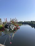 IMG_9265