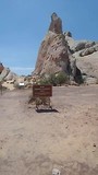 Vogel geluid valley of fire