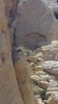 FB_IMG_1536290411702