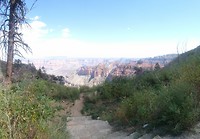 2018-09-10 06.58.41