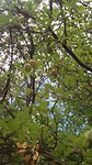20180916_225557