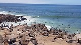 Cape Cross Seal Reserve