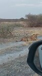 VID-20221013-WA0022