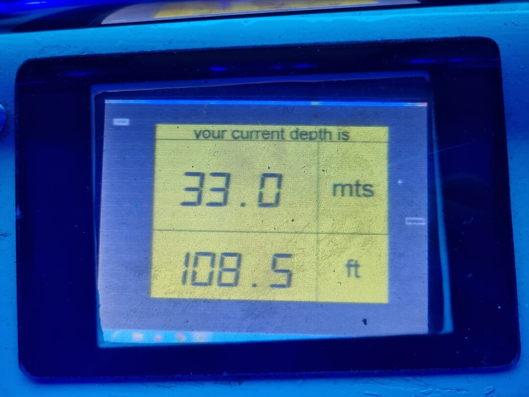 1000023436