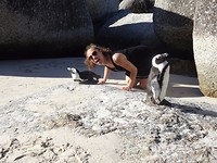 Boulders Beach