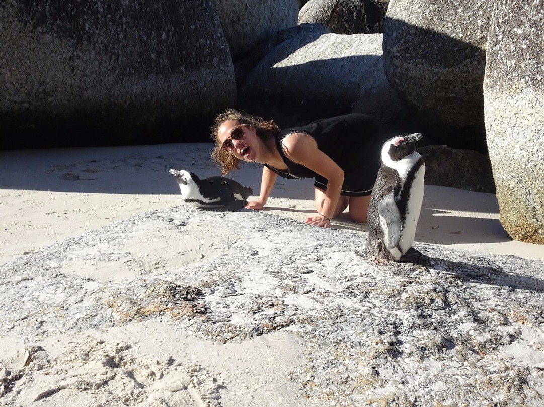 Boulders Beach