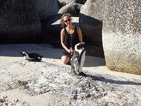 Boulders Beach