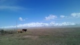 P_20140508_161302