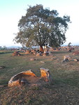 20191105_171632