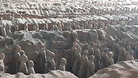 Terracottaleger