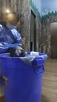 Chengdu Panda center