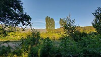 Mrizi i zanave