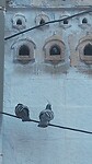 20241115_170650